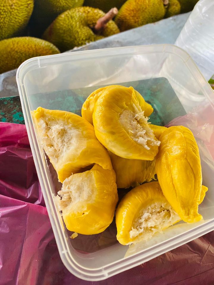 102954461_2965365166851480_8478335808897691071_o