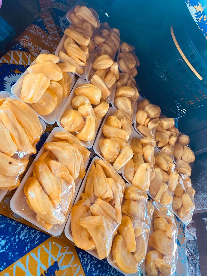 104053462_2976782312376432_1481352279087946442_o