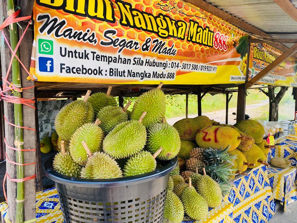 104437449_2965365246851472_3440553474770241925_o