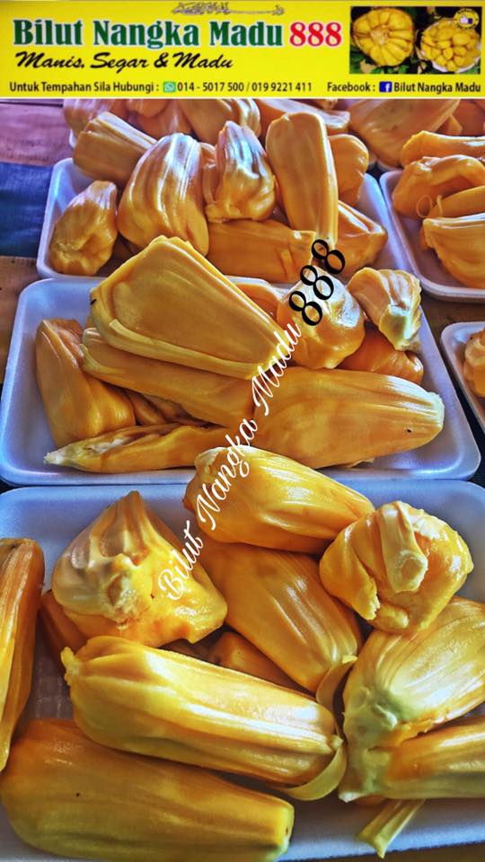 23658832_1477043959016949_1188684490230349635_n