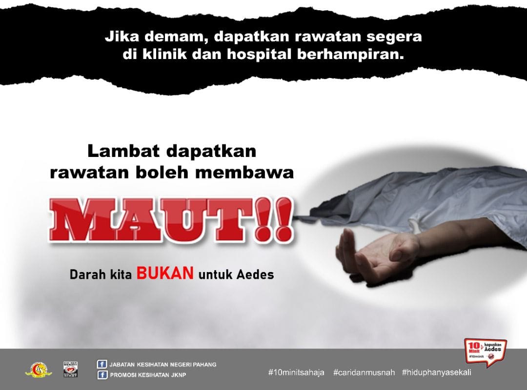 aedes